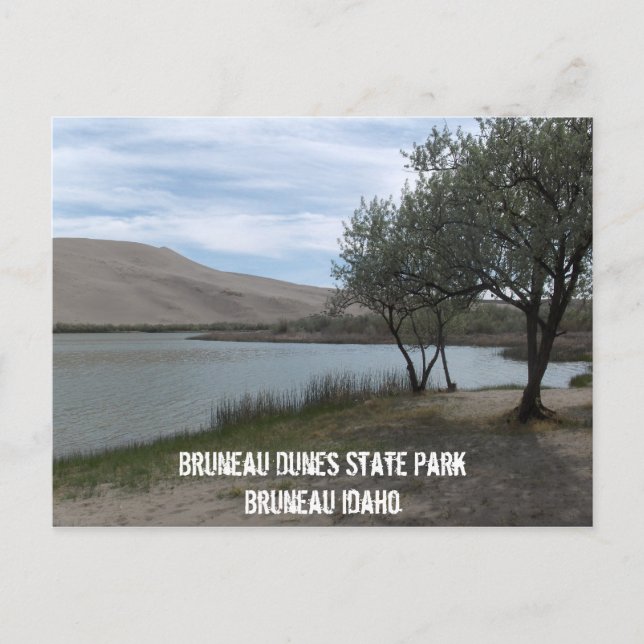 Carte Postale Parc d'état des Dunes Bruneau (Devant)