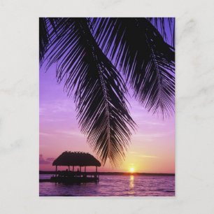 Carte Postale Parc d'État John Pennekamp, Florida Keys, Key