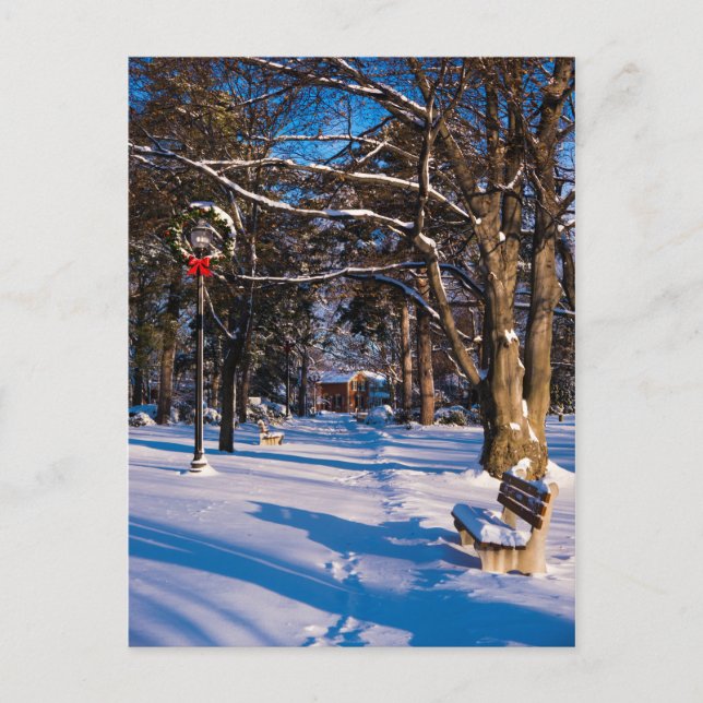 Carte Postale Parc d'hiver couvert de neige au Canada (Devant)