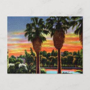 Carte Postale Parc Echo