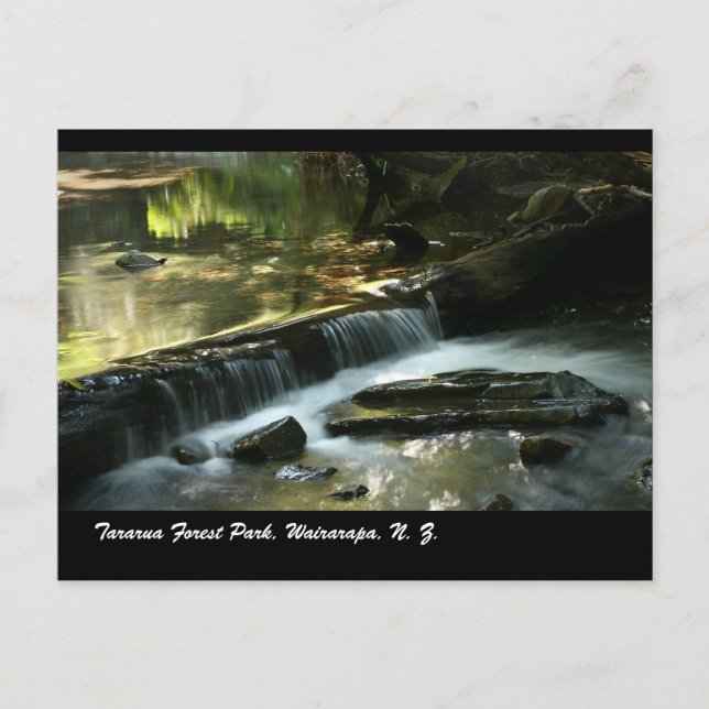 Carte Postale Parc forestier de Tararua, Wairarapa, N. Z. (Devant)