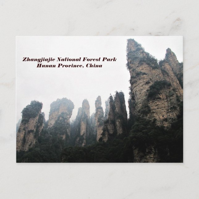 Carte Postale Parc forestier national de Zhangjiajie, Hunan Chin (Devant)