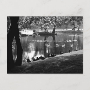 Carte Postale Parc Life pccna