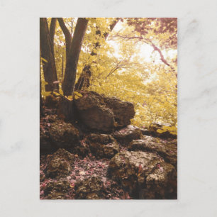 Carte Postale parc national backbone iowa