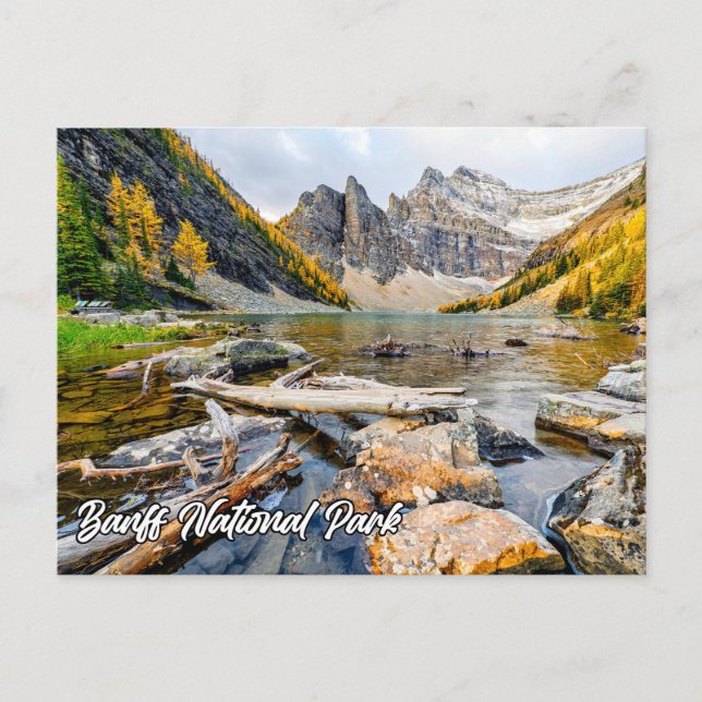 Carte Postale Parc national Banff, Alberta, Canada (Devant)