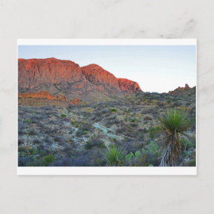 Carte Postale Parc national Big Bend