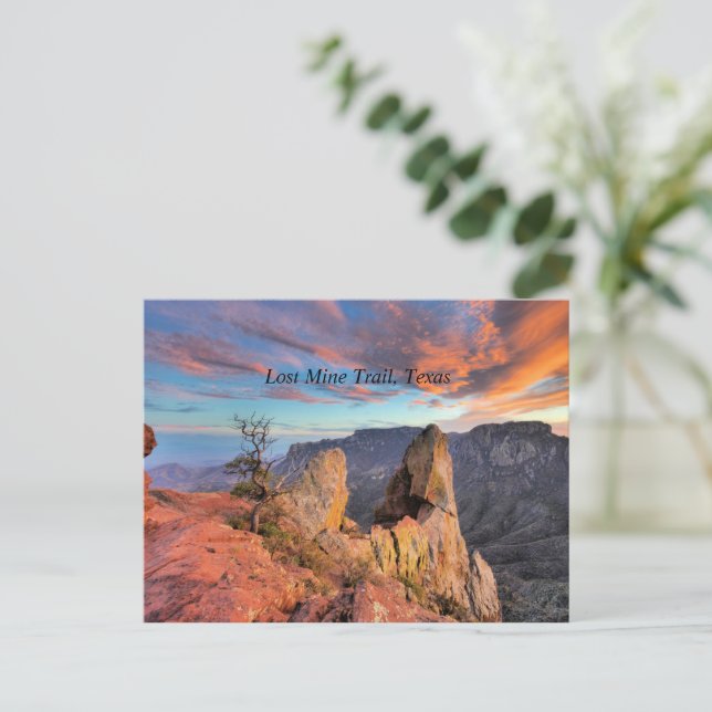 Carte Postale Parc national Big Bend, Texas, (Debout devant)