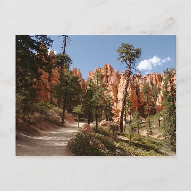 Carte Postale Parc national Bryce Canyon Trail (Devant)