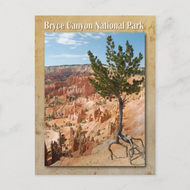Carte Postale Parc national de Bryce Canyon, Utah (Devant)