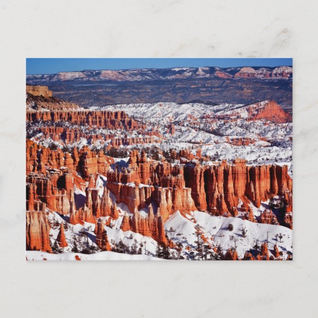 Carte Postale Parc national de canyon de Bryce (Devant)