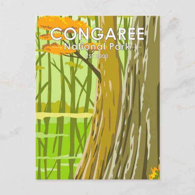 Carte Postale Parc national de Congaree Caroline du Sud Art Vint (Devant)