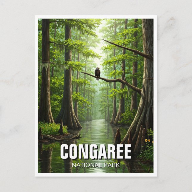Carte Postale Parc national de Congaree Caroline du Sud Voyage (Devant)