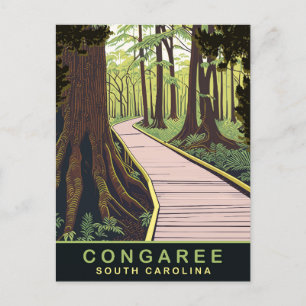 Carte Postale Parc national de Congaree Caroline du Sud, Voyage