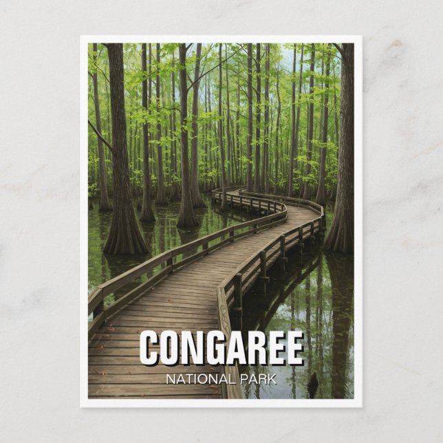 Carte Postale Parc national de Congaree Caroline du Sud Voyage (Devant)