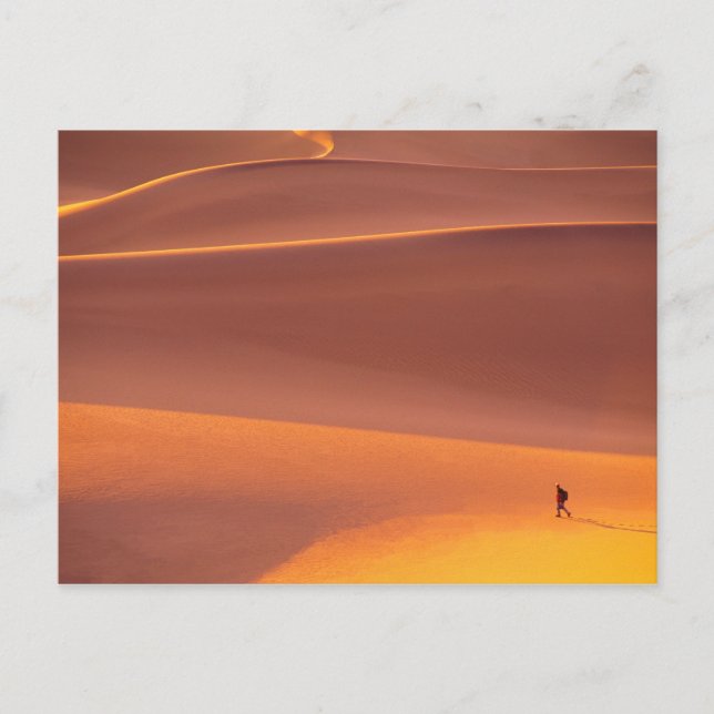 Carte Postale Parc national de Death Valley | Californie (Devant)