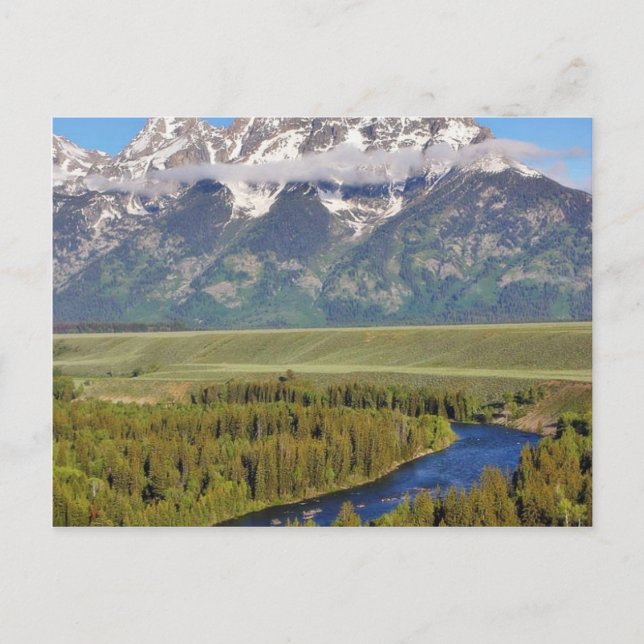 Carte Postale Parc national de Grand Teton 3 (Devant)