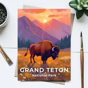 Carte Postale Parc national de Grand Teton   Bison Voyage Wyomin