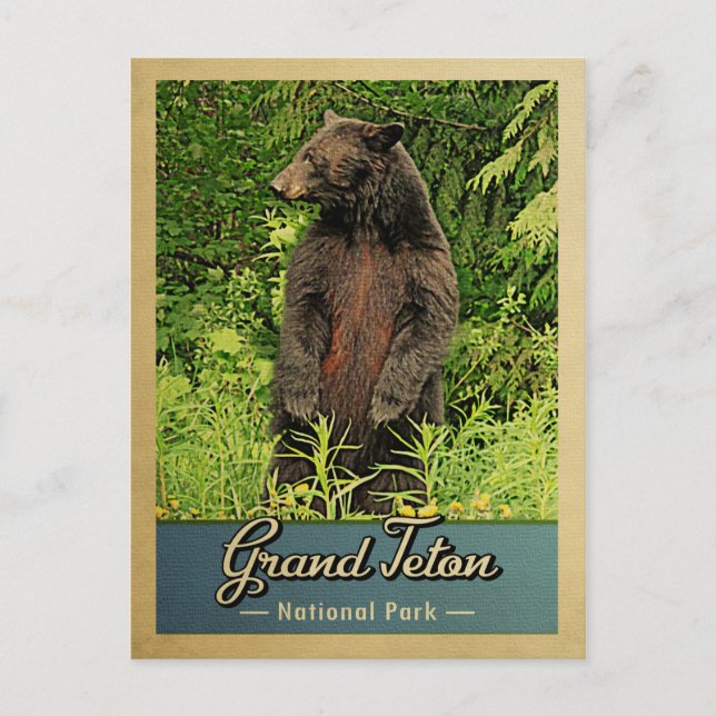 Carte Postale Parc national de Grand Teton Ours Vintage (Devant)