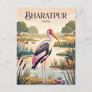 Carte Postale Parc national de Keoladeo Inde