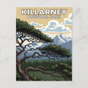 Carte Postale parc national de Killarney voyage vintage