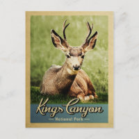 Parc national de Kings Canyon Deer Vintage