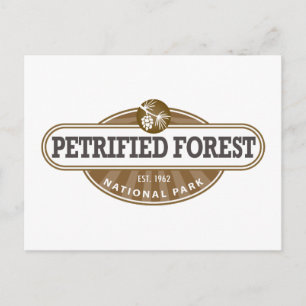 Carte Postale Parc national de la Forêt Petrifiée