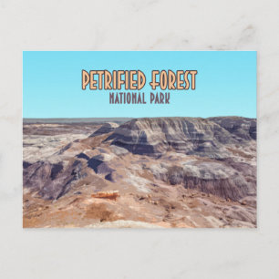 Carte Postale Parc National de la Forêt Petrifiée Arizona Vintag