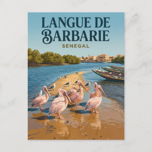 Carte Postale Parc national de la Langue de Barbarie Sénégal