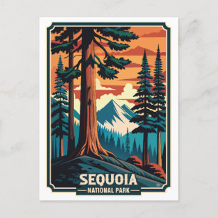 Carte Postale Parc national de la Sequoia