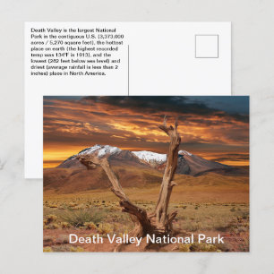 Carte Postale Parc national de la vallée de la Mort Faits