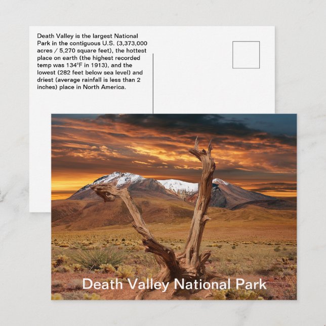 Carte Postale Parc national de la vallée de la Mort Faits (Devant / Derrière)