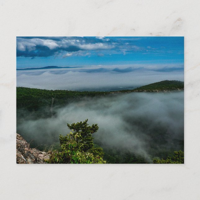 Carte Postale Parc national de l'Acadie en été, Maine (Devant)