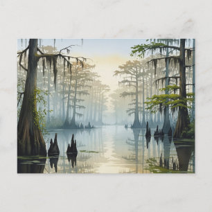 Carte Postale Parc national de Misty Congaree Caroline du Sud