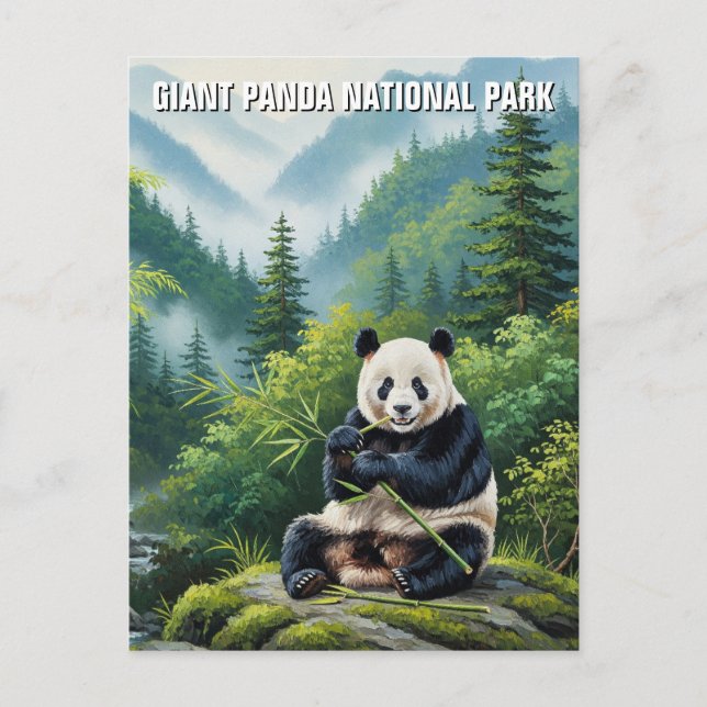 Carte Postale Parc national de Panda géant Chine Voyage (Devant)