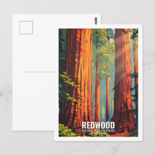 Carte Postale Parc national de Red Wood Californie États-Unis