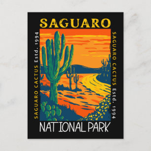 Carte Postale Parc national de Saguaro Arizona Vintage en détres