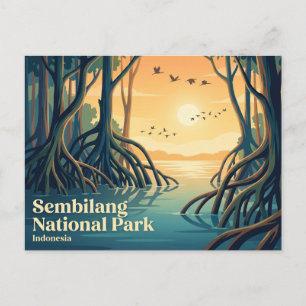 Carte Postale Parc national de Sembilang Indonésie