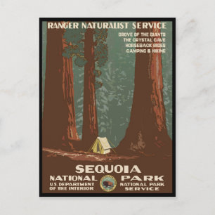 Carte Postale Parc national de Sequoia
