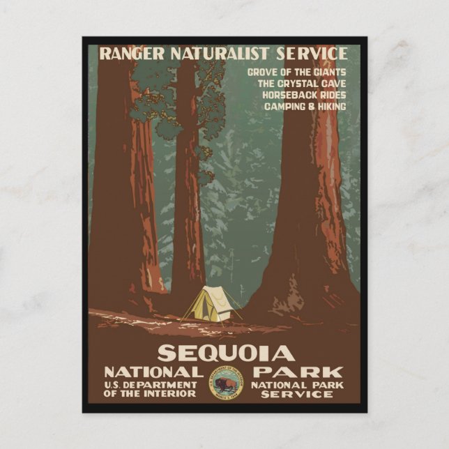 Carte Postale Parc national de Sequoia (Devant)