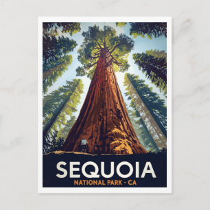 Carte Postale Parc national de Sequoia Arbres géants