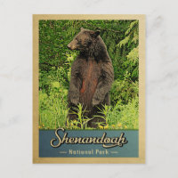 Parc national de Shenandoah Ours Vintage