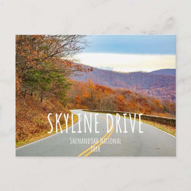 Carte Postale Parc national de Shenandoah Skyline Drive (Devant)