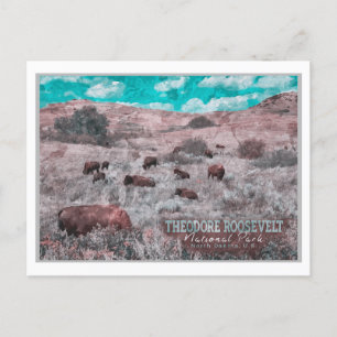 CARTE POSTALE PARC NATIONAL DE THEODORE ROOSEVELT - DAKOTA NORD