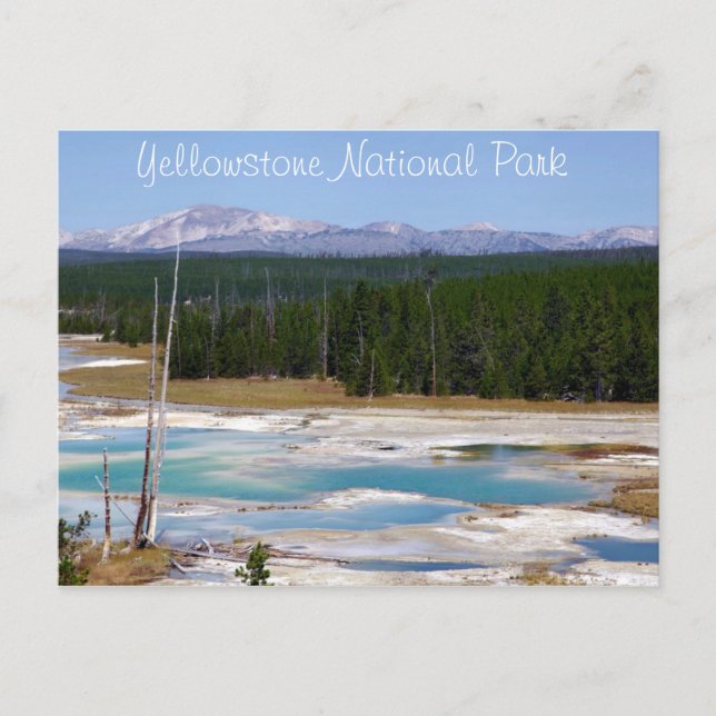 Carte Postale Parc national de Yellowstone (Devant)