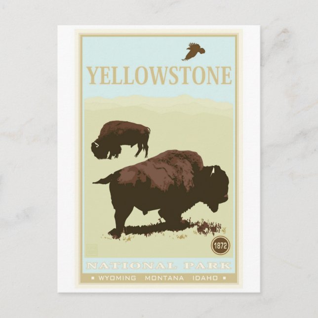 Carte Postale Parc national de Yellowstone (Devant)