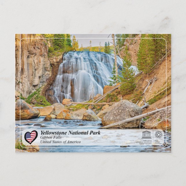 Carte Postale Parc national de Yellowstone - Gibbon Falls (Devant)
