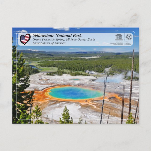 Carte Postale Parc national de Yellowstone - Grand Printemps Pri (Devant)