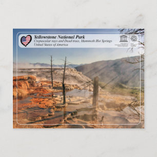 Carte Postale Parc national de Yellowstone - Mammoth Hot Springs