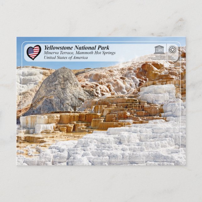 Carte Postale Parc national de Yellowstone - Minerva Terrace (Devant)