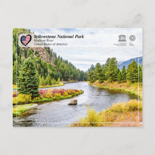 Carte Postale Parc national de Yellowstone - Rivière Madison